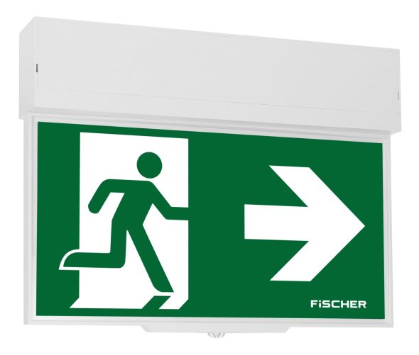 LED-Rettungszeichenleuchte R1-U383AT2.19 LED-Rettungszeichenleuchte R1-U383AT2.19