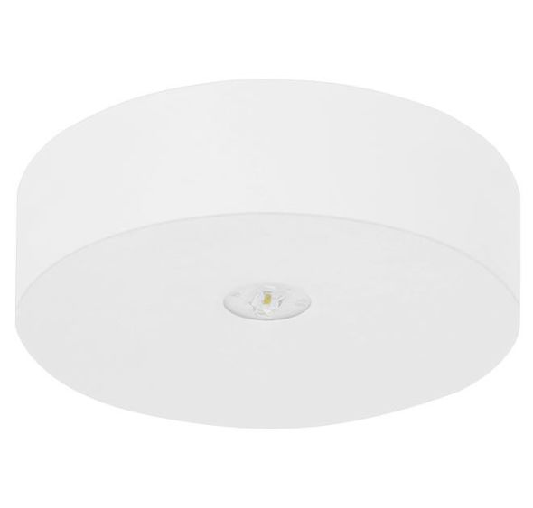 LED-Sicherheitsleuchte AXD365M LED-Sicherheitsleuchte AXD365M