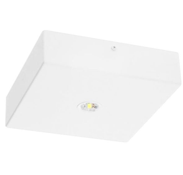 LED-Sicherheitsleuchte BQD329SC.V2 LED-Sicherheitsleuchte BQD329SC.V2