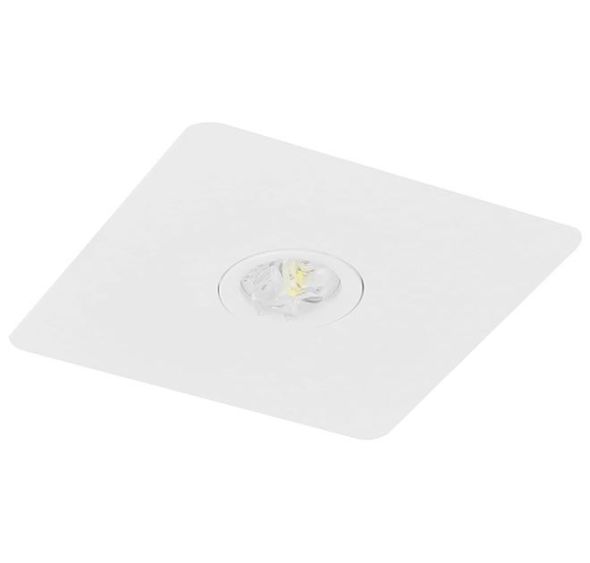 LED-Sicherheitsleuchte BQE815SC.V2 LED-Sicherheitsleuchte BQE815SC.V2