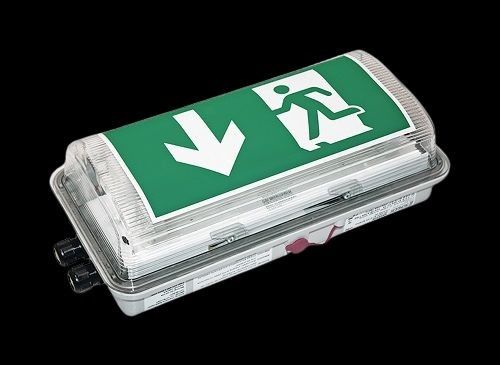 SI-/Rettungszeichenleuchte EX64-WD-X1-LW SI-/Rettungszeichenleuchte EX64-WD-X1-LW