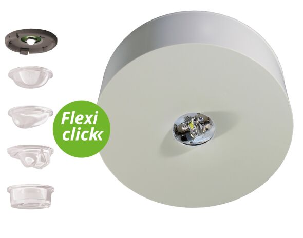 Sicherheitsleuchte ILDL421SC-SW-TT