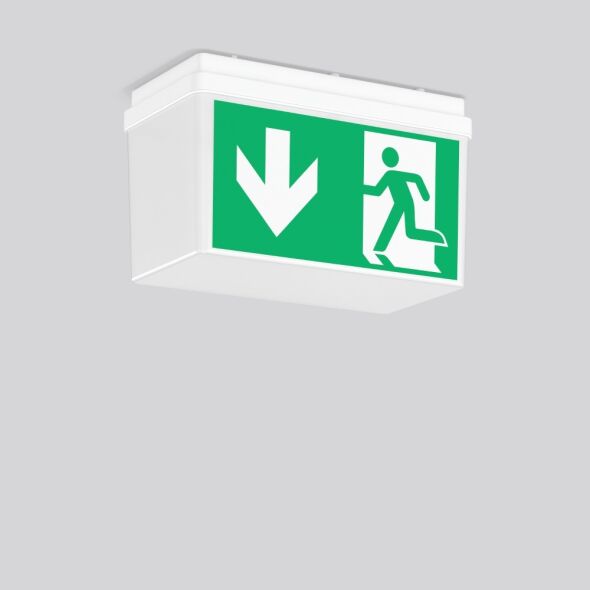 LED-Rettungszeichenleuchte 652520.002 LED-Rettungszeichenleuchte 652520.002