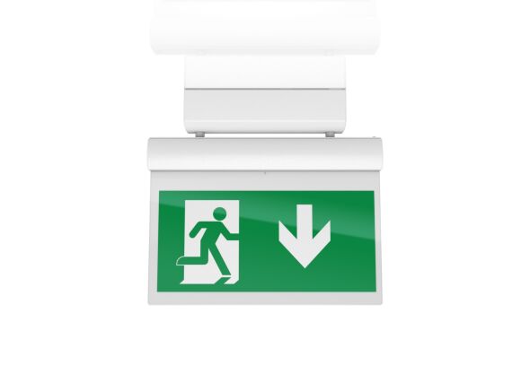 LED-Notleuchte SylSafe Exi #0041755 LED-Notleuchte SylSafe Exi #0041755