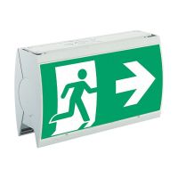 LED-Sicherheitsleuchte StyleII22011LEDCGSRZ
