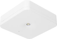 Sicherheitsleuchte SLM-D31USC
