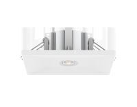 LED-Sicherheitsleuchte LEDEM-S#572005004100