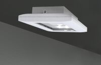 Sicherheitsleuchte FMDS428SC