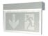 LED-Sicherheitsleuchte 54273