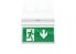 LED-Notleuchte SylSafe Exi #0041750