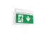 LED-Notleuchte SylSafe Exi #0041759