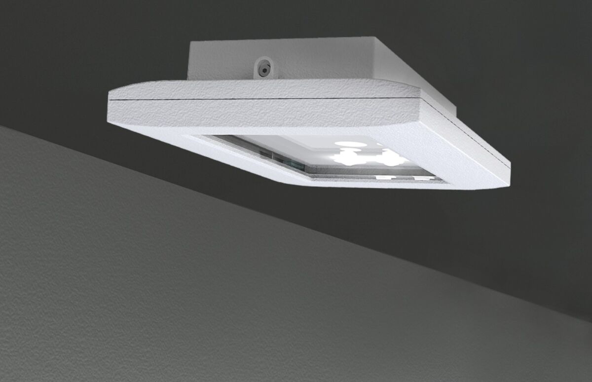 Sicherheitsleuchte FMDS428SC