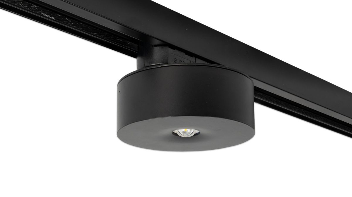 Sicherheitsleuchte ILDL421WL-SW-3P