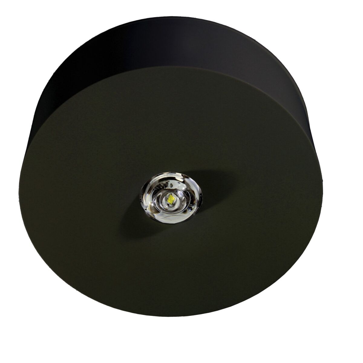 Sicherheitsleuchte ILDL529CC-SW Sicherheitsleuchte ILDL529CC-SW