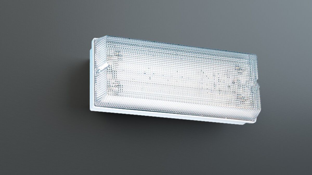 Sicherheitsleuchte PFW411SC-P