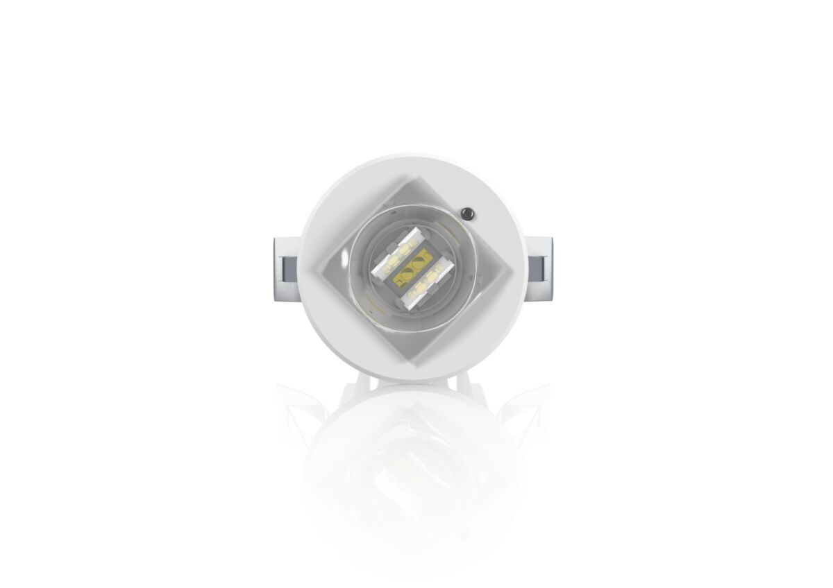 LED-Notleuchte SylSafe Spo #0041726