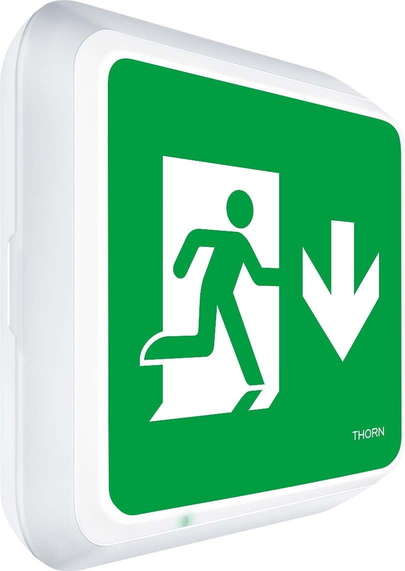 Rettungszeichenleuchte Voy Square #96635070