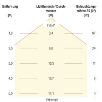 LED-Wegeleuchte WLL541553062
