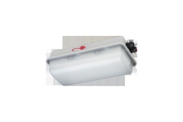 EX-LED-Notleuchte e856F L05/1/1,6DIMDI EX-LED-Notleuchte e856F L05/1/1,6DIMDI