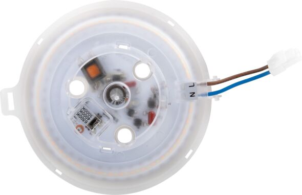 LED-Modul magnetisch MM77167