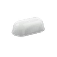 Ersatzglas strukturiert 05-50200