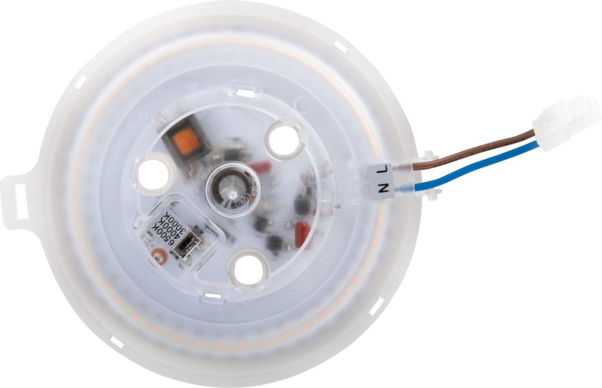 LED-Modul magnetisch MM77167