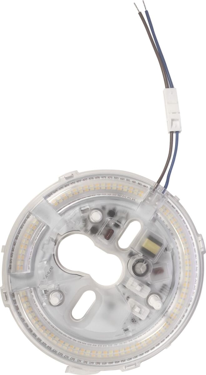 LED-Modul magnetisch MM77169