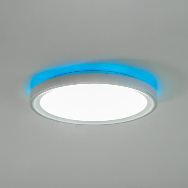 Farbringsatz 81020808