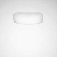 Ersatzwanne Wanne 74Q WD1 Ersatz