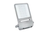 Schutzgitter Raiden Wire #2824180