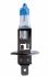 Autolampe Halogen H1 Xenon 81091