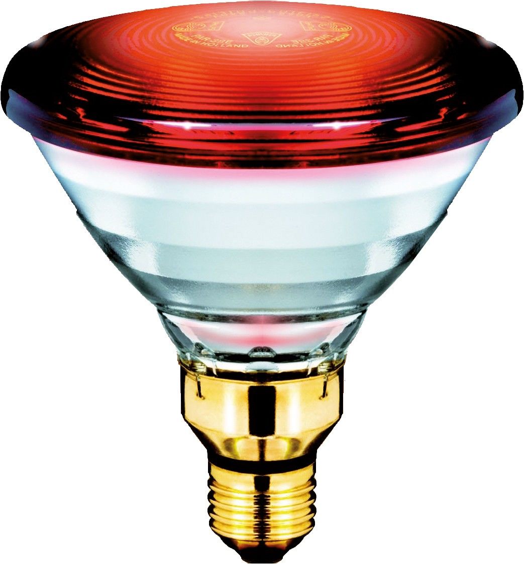 Infrarotlampe PAR38 PAR38IR150W#57535715