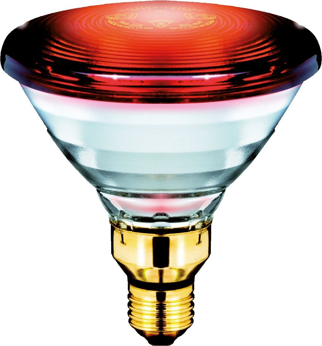 Infrarotlampe PAR38IR150 #16675398
