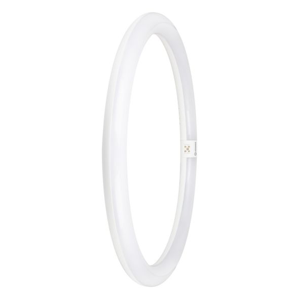LED-Ring-TubeT9C f.KVG/VVG TUBET9CEMV4024W840 LED-Ring-TubeT9C f.KVG/VVG TUBET9CEMV4024W840