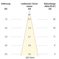 P-LED Einsatz C51350N6D2W