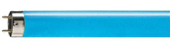 Leuchtstofflampe T8 67144 Leuchtstofflampe T8 67144