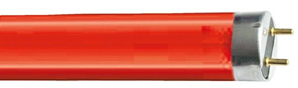Leuchtstofflampe T8 67223 Leuchtstofflampe T8 67223