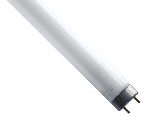 UV-A Leuchtstofflampe 68644