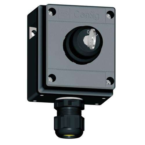Schlüsselschalter 8040/1180X-08M01SA05