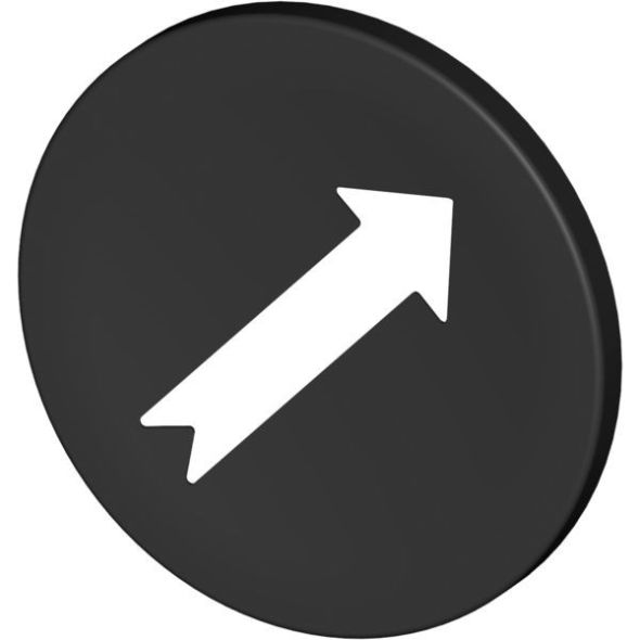 Tastenschild 8602/3 227778