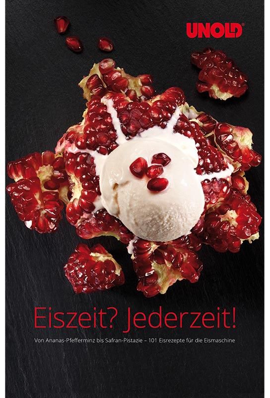 Eisbuch 488999