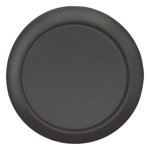 Drucktaste flach rastend C22S-DR-S-K11 Drucktaste flach rastend C22S-DR-S-K11