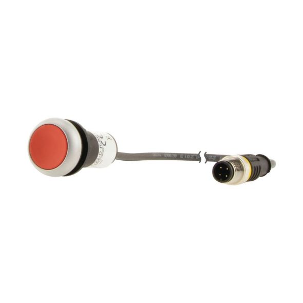 Drucktaste flach tastend C22-D-R-K01-P3 Drucktaste flach tastend C22-D-R-K01-P3