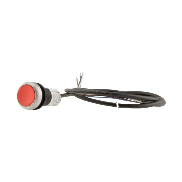 Drucktaste flach tastend C22-D-R-K01-P65 Drucktaste flach tastend C22-D-R-K01-P65