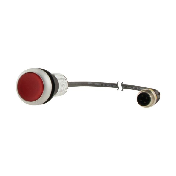 Leuchtdrucktaste flach 1Ö C22-DL-R-K01-24-P3 Leuchtdrucktaste flach 1Ö C22-DL-R-K01-24-P3