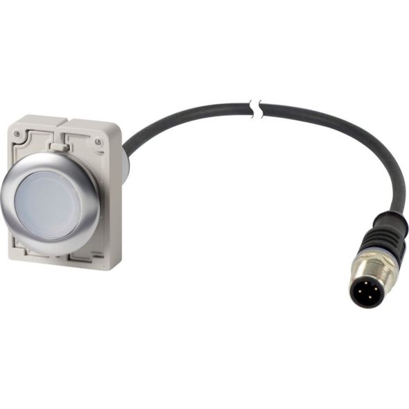 Leuchtdrucktaste flach 1S C30C-FDRL-#186007 Leuchtdrucktaste flach 1S C30C-FDRL-#186007
