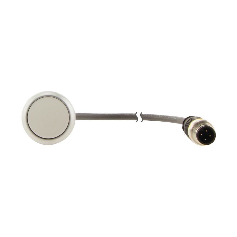 Drucktaste Classic flach C22-DR-W-K10-P3