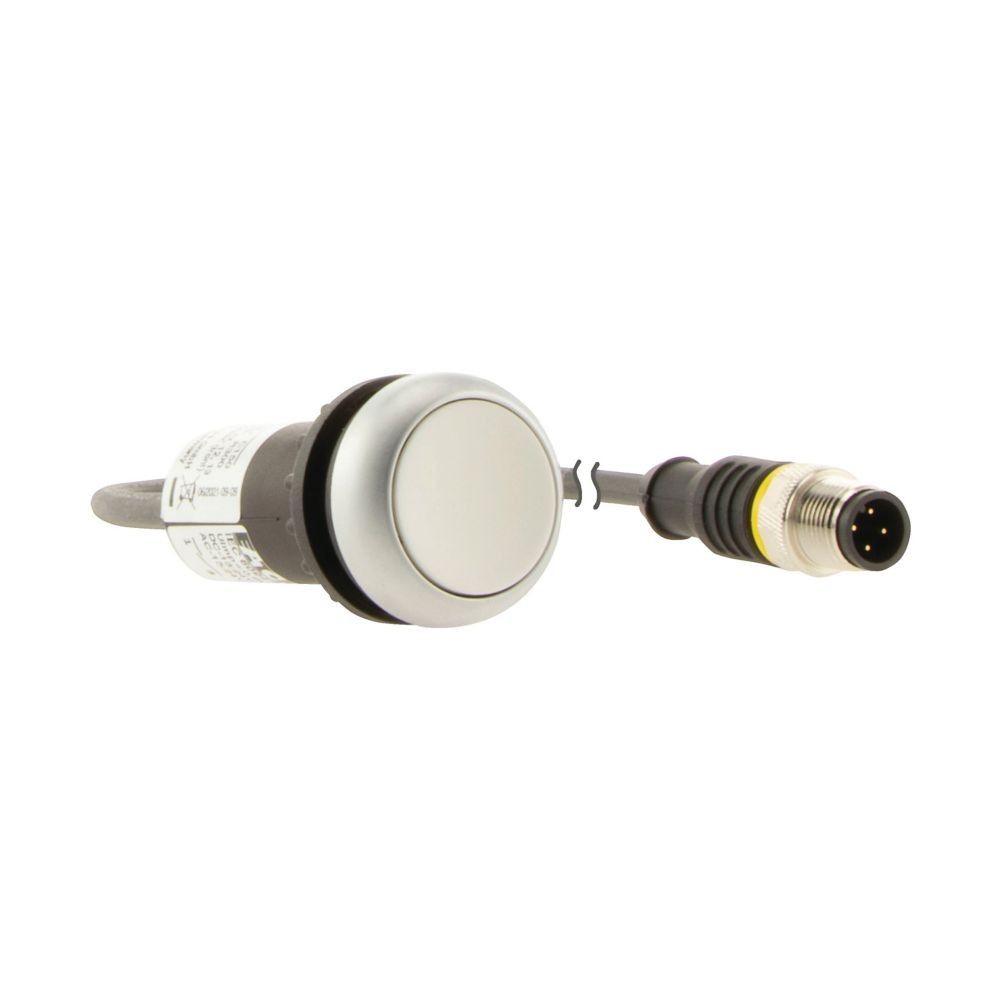 Drucktaste Classic flach C22-DR-W-K10-P3