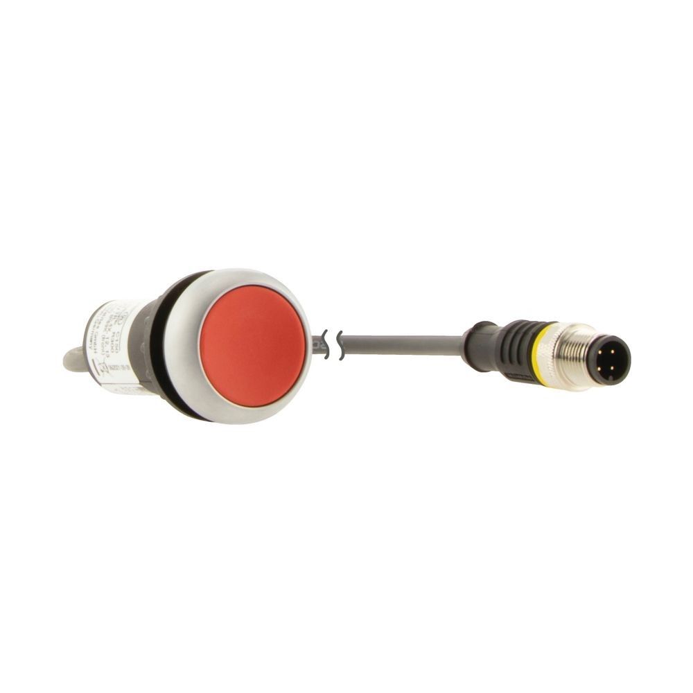 Drucktaste flach tastend C22-D-R-K01-P3