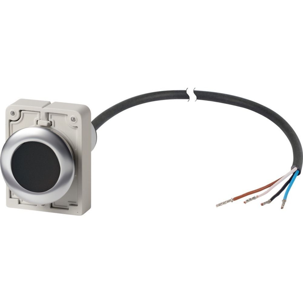 Drucktaste flach tastend C30C-FD-S-K01-P62